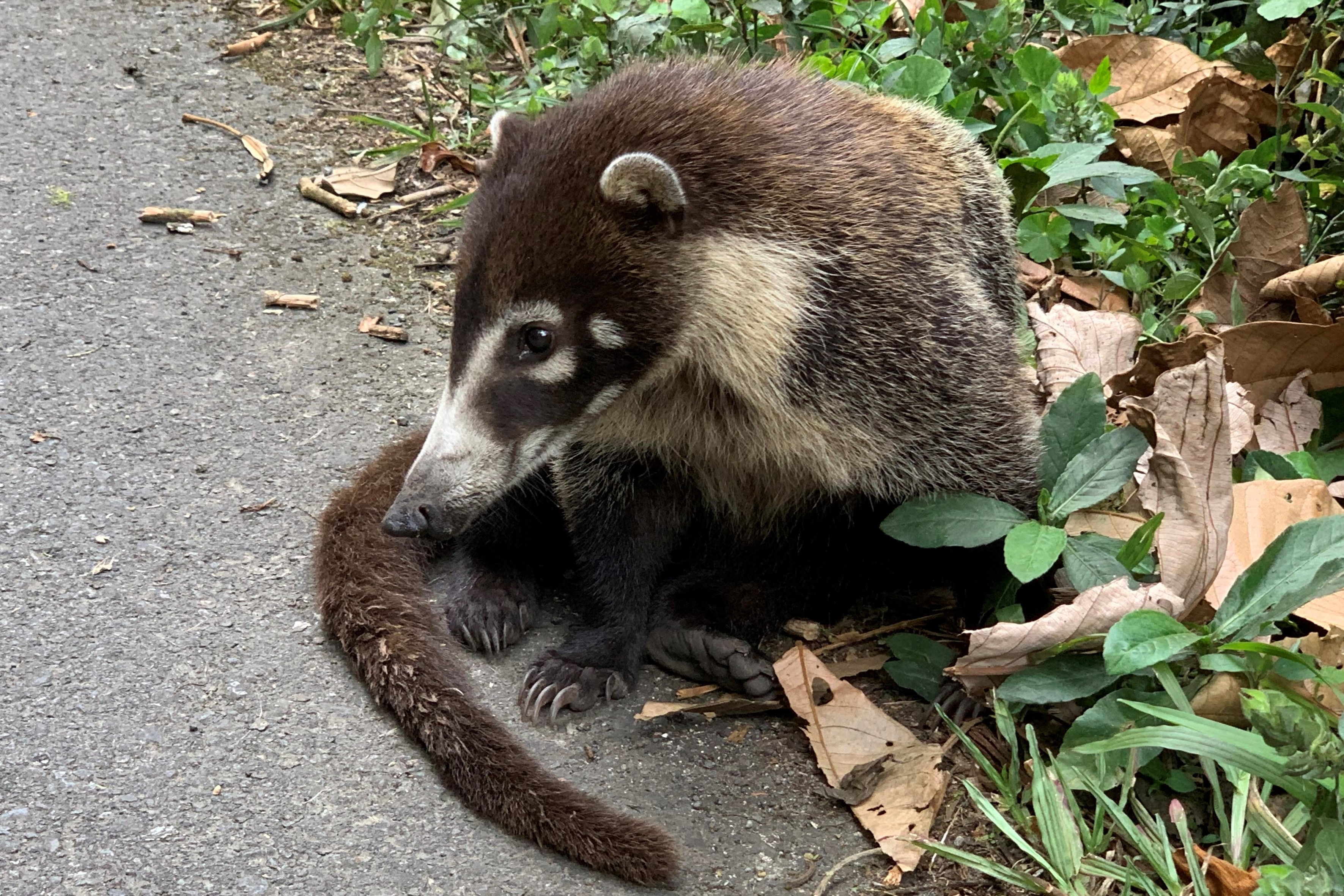 Costa Rica